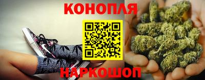 амф Коммунар