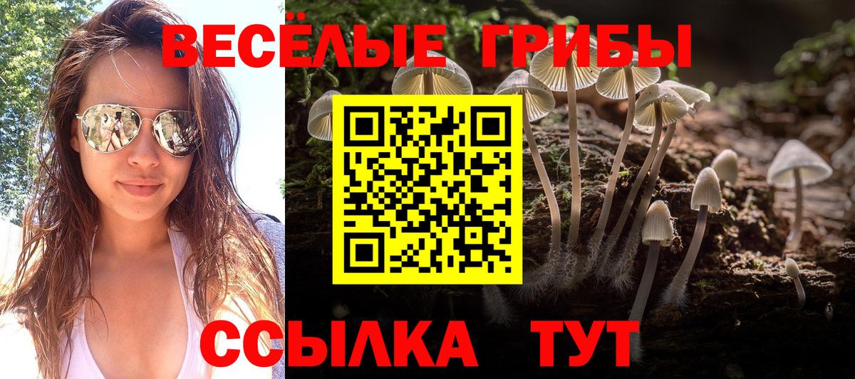 Псилоцибиновые грибы мухоморы  Вход с VPN  наркошоп  Псилоцибиновые грибы GOLDEN TEACHER  Чебоксары 