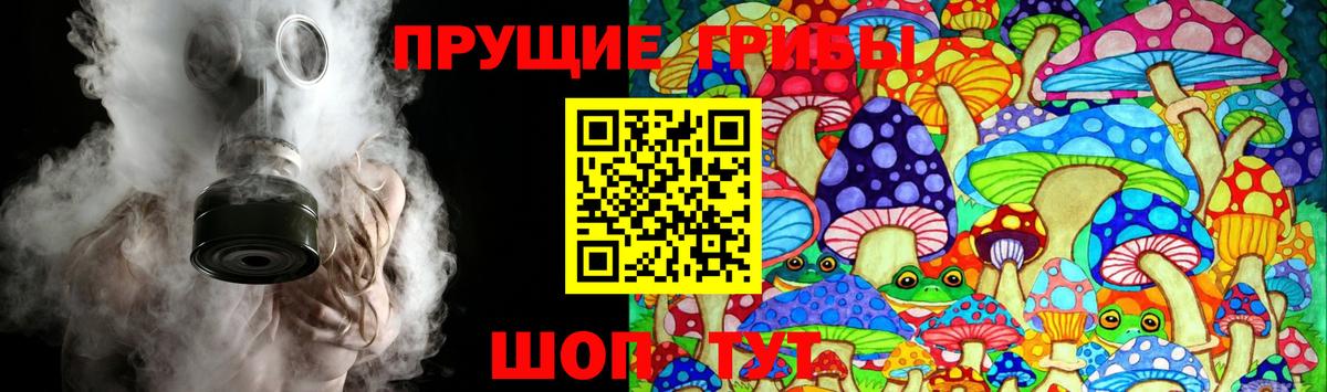 Псилоцибиновые грибы Psilocybine cubensis Чебоксары
